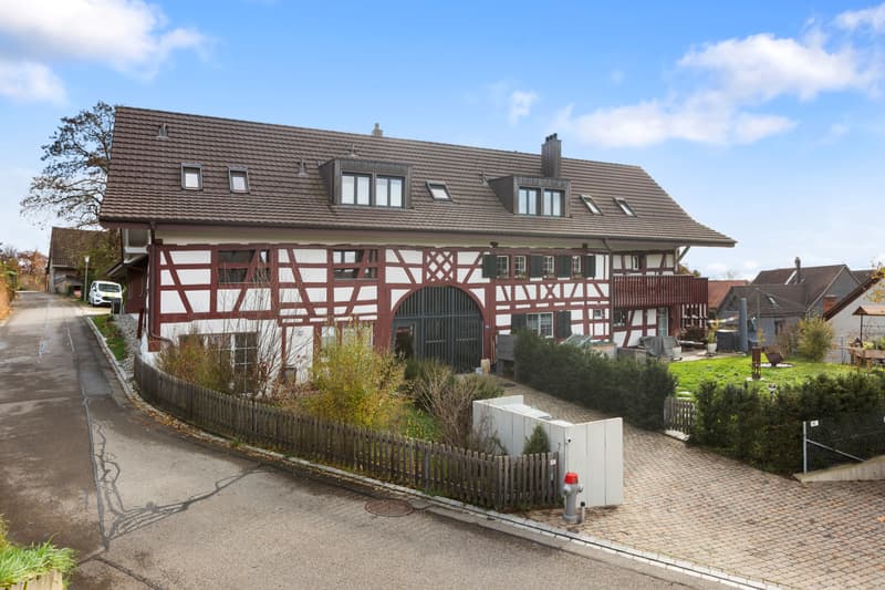 Exklusive 2.5-Zimmer-Wohnung mit Loft-Charakter (6)