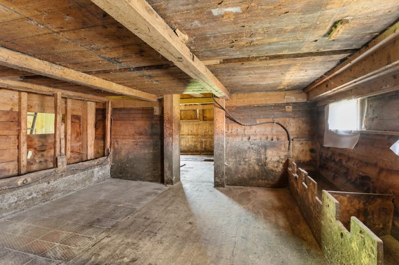 Bauernhaus mit eigener Wasserquelle (5)