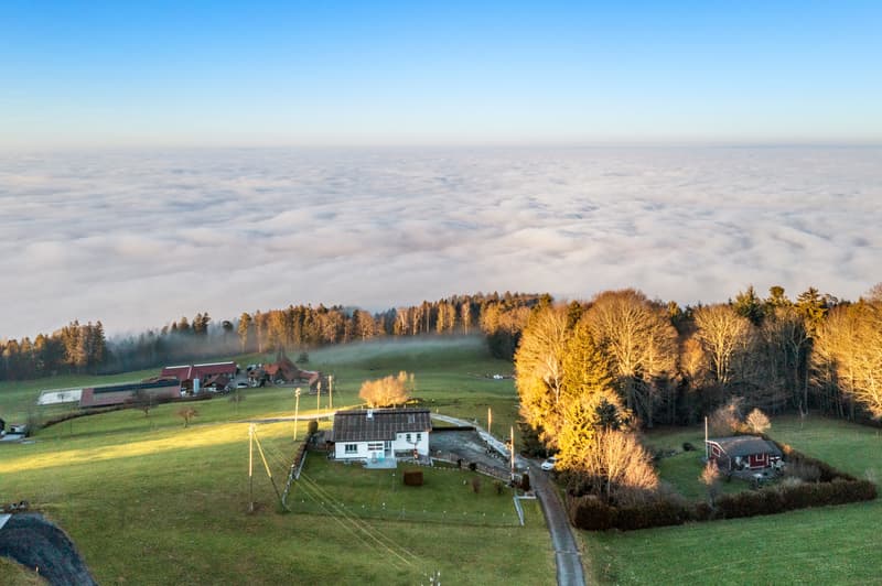 Wohnen über dem Bodensee - Haus mit atemberaubender Seesicht in Grub (2)