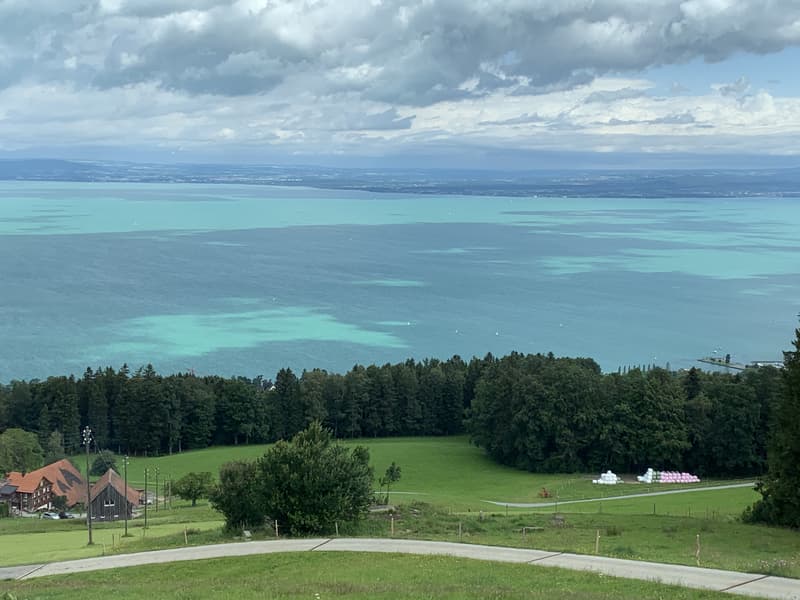 Wohnen über dem Bodensee - Haus mit atemberaubender Seesicht in Grub (6)