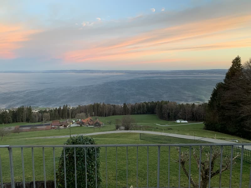Wohnen über dem Bodensee - Haus mit atemberaubender Seesicht in Grub (5)