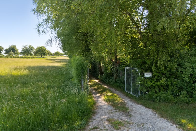 Privates Naturrefugium am Hudelmoos - Ein verborgenes Paradies zwische (10)
