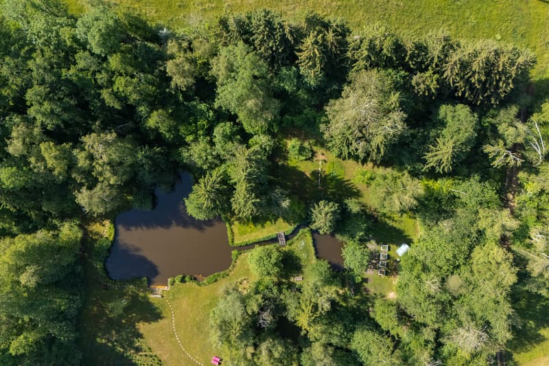 Privates Naturrefugium am Hudelmoos - Ein verborgenes Paradies zwische (2)