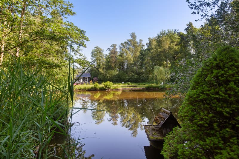 Privates Naturrefugium am Hudelmoos - Ein verborgenes Paradies zwische (13)