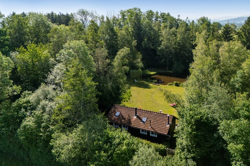 Privates Naturrefugium am Hudelmoos - Ein verborgenes Paradies zwische (3)