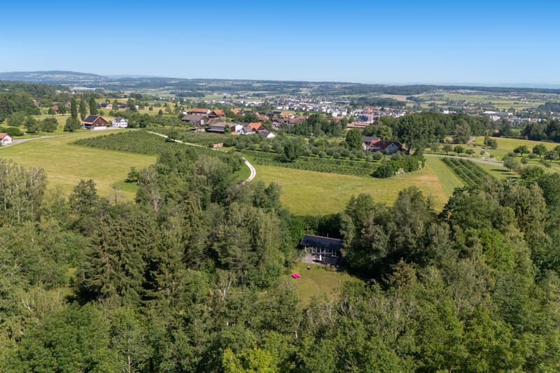 Privates Naturrefugium am Hudelmoos - Ein verborgenes Paradies zwische (9)