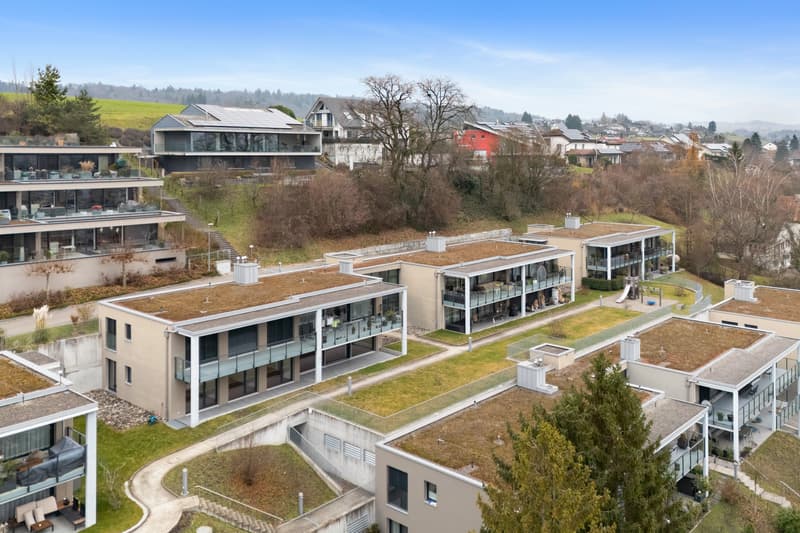 Panorama, Ruhe und Wohnqualität auf höchstem Niveau - Exklusive 5.5 Zi (5)