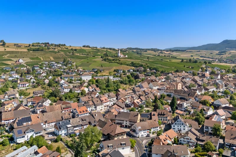 Ein Stück Hallauer Geschichte - Zwischen Tradition und Zukunft (7)