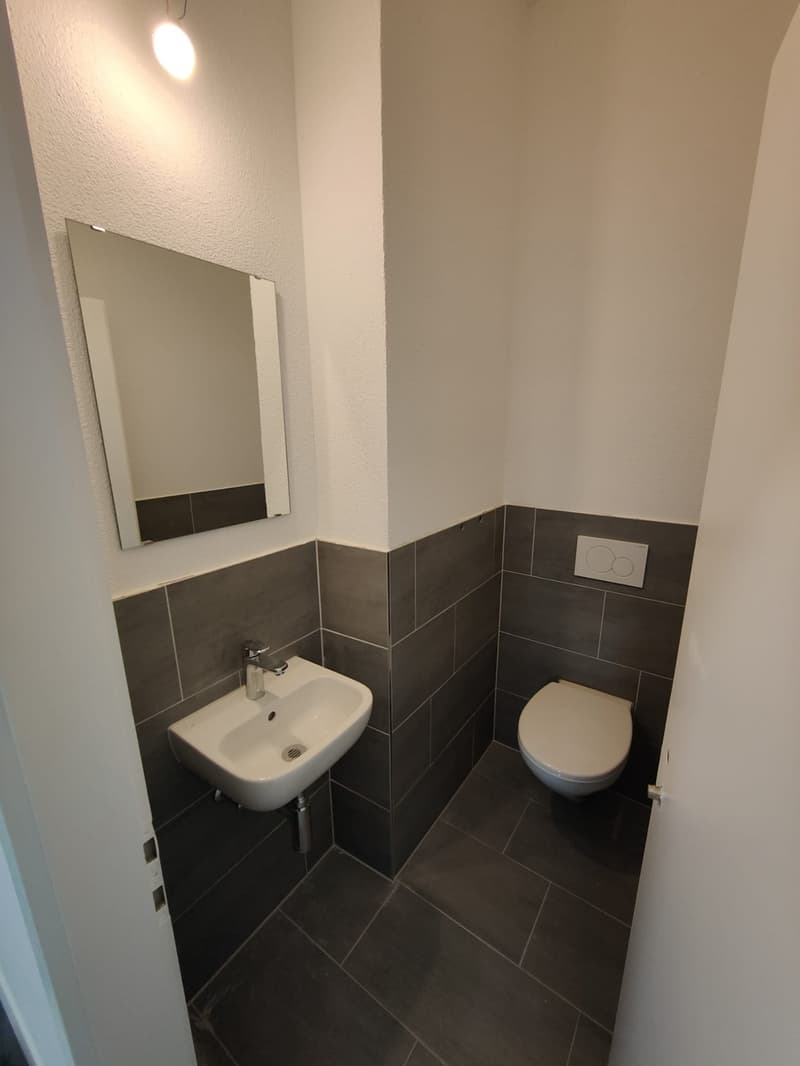 renovierte 2.5-Zimmer-Wohnung in Trun (4)