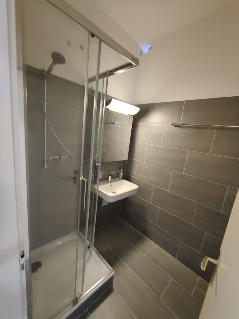 renovierte 2.5-Zimmer-Wohnung in Trun (3)