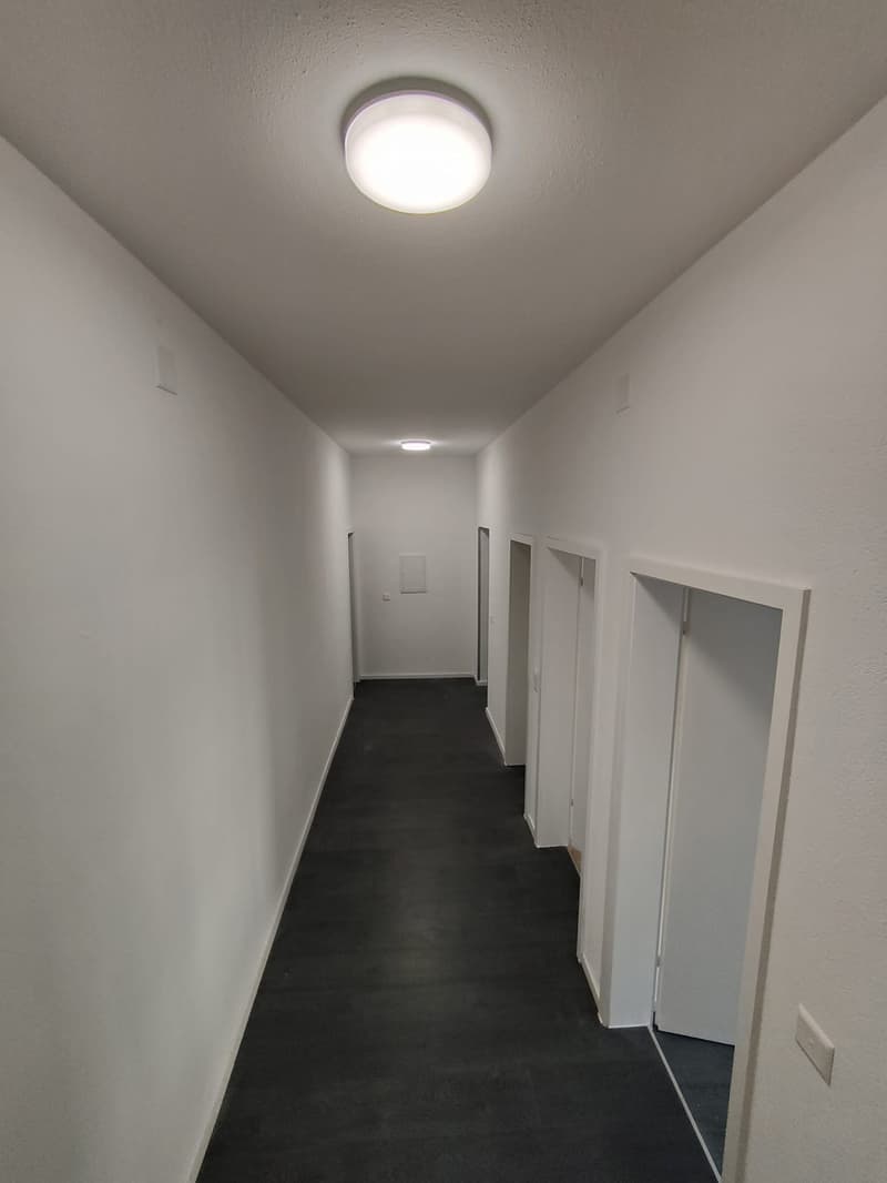 renovierte 2.5-Zimmer-Wohnung in Trun (6)