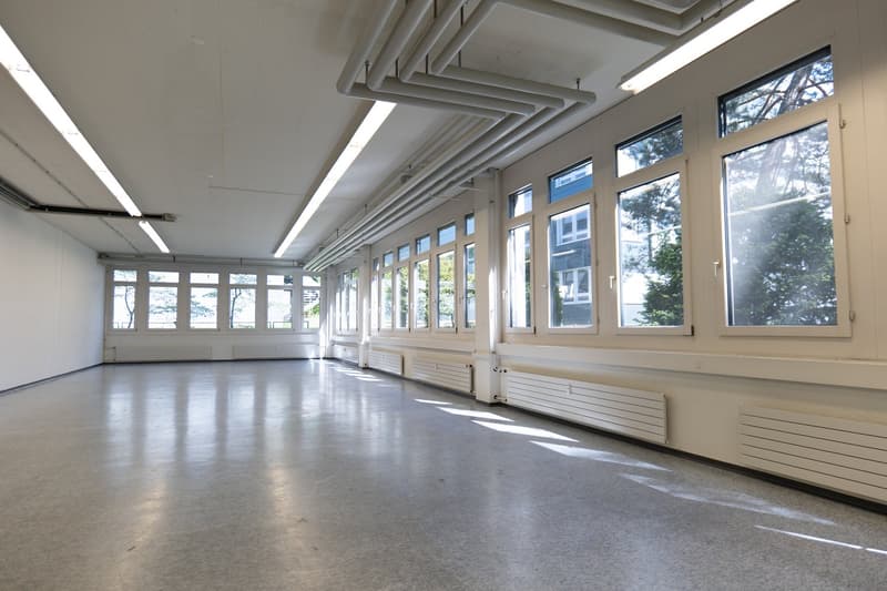 Helle Gewerbefläche mit vielseitigem Nutzungspotenzial (2)