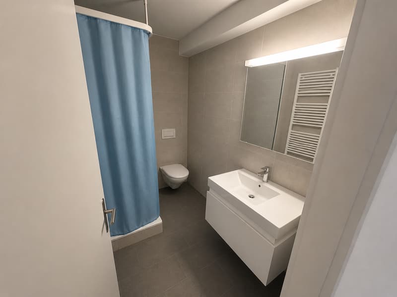 Attraktive 4.5-Zimmerwohnung an ruhiger Lage in Nussbaumen (7)