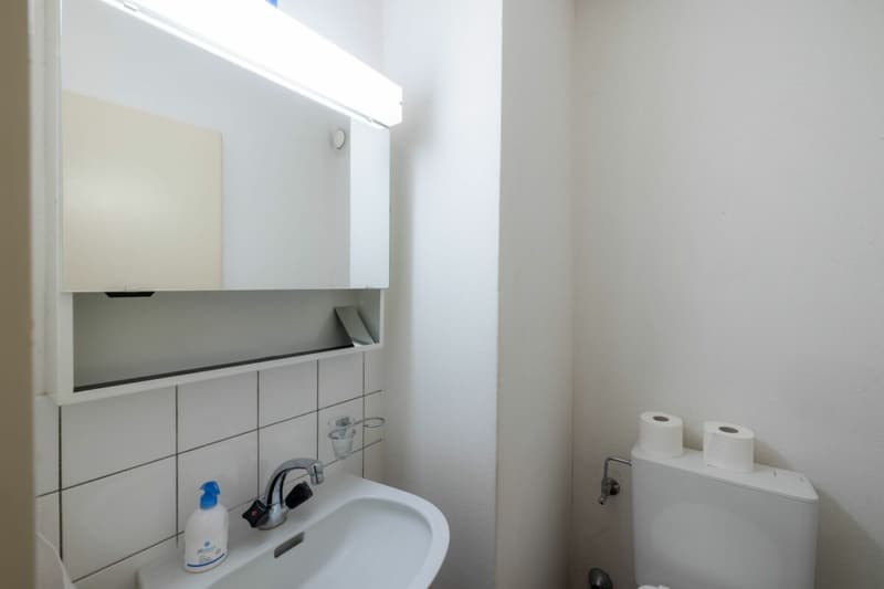 4.5 Room Attic Wallisellen (2)
