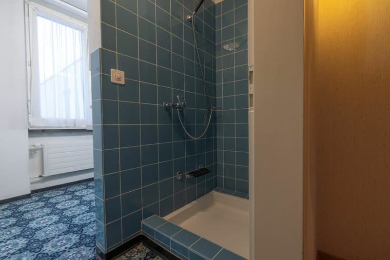 4.5 Room Attic Wallisellen (4)