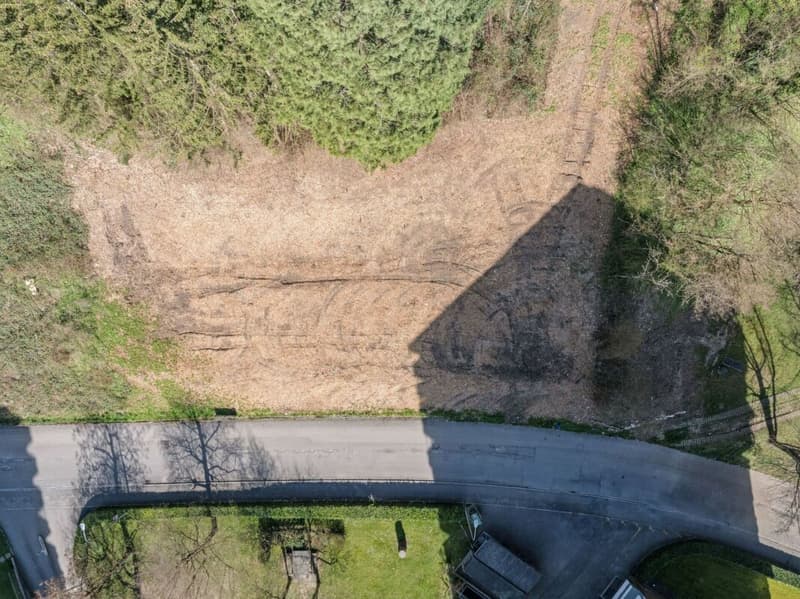 Attraktive Baulandparzelle für Investoren und Entwickler in Trimbach (SO) (4)