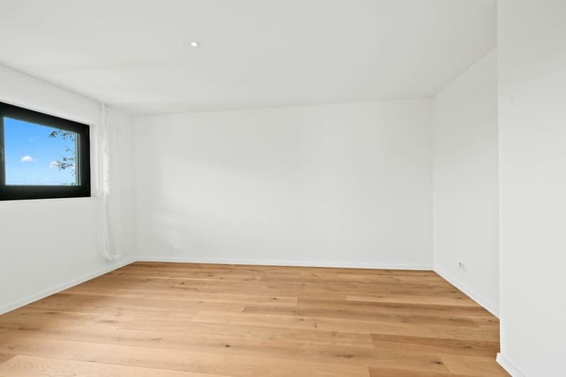 Zimmer 1