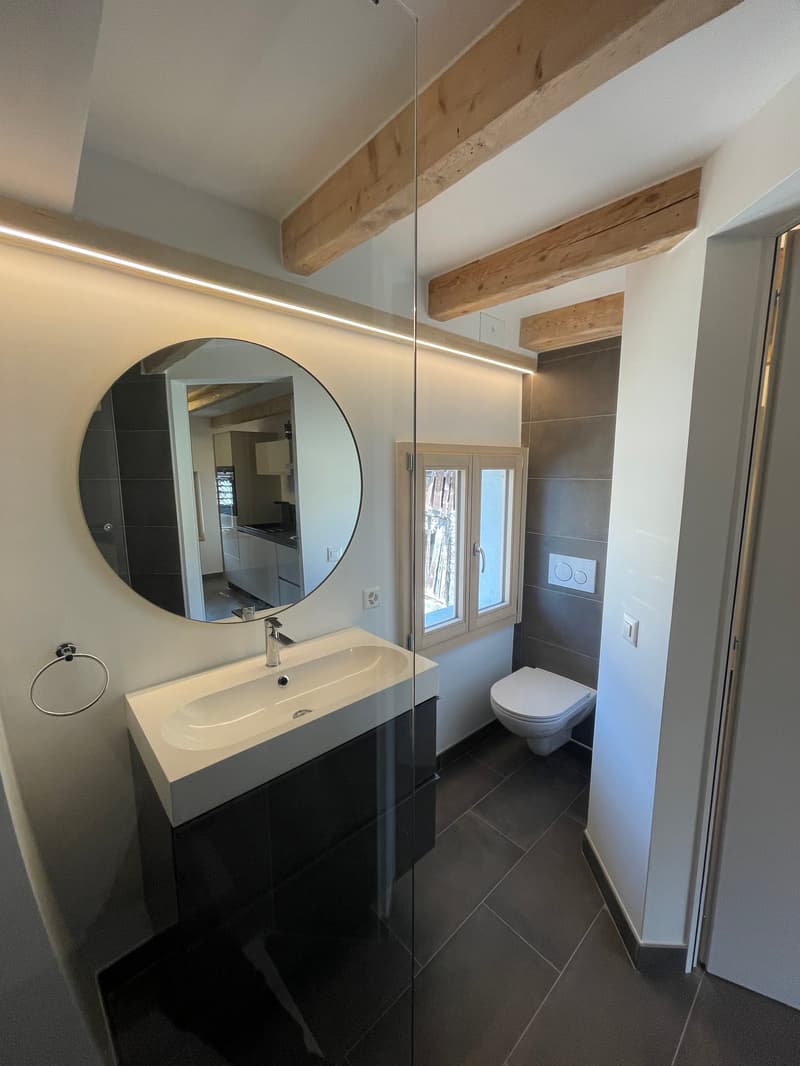Modern bathroom with large mirror, white sink, glass shower enclosure, wooden beams, black tiled floor, white toilet, white cabinet, and white walls.