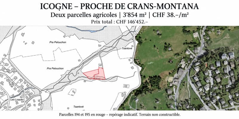 Votre terrain près de Crans-Montana – deux parcelles agricoles à Icogne (3)