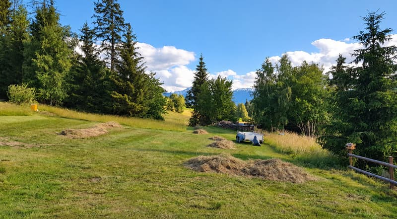 Votre terrain près de Crans-Montana – deux parcelles agricoles à Icogne (2)