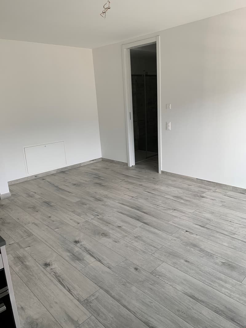 empty room, white walls, wooden floor, open door, power outlets