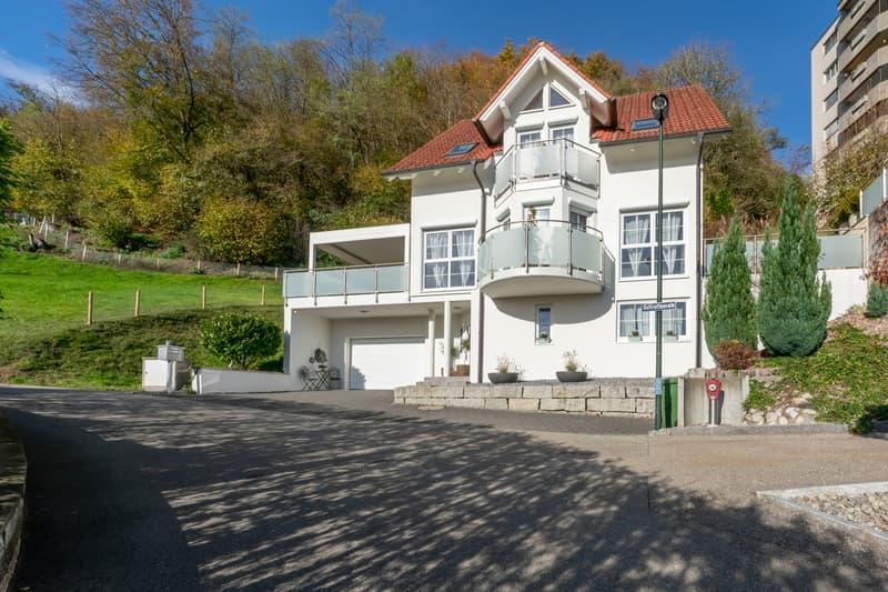 Frontansicht