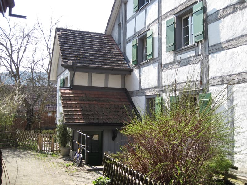 Gemütliche 3-Zimmer-Altbauwohnung mit Balkon in Freienstein-Teufen (1)