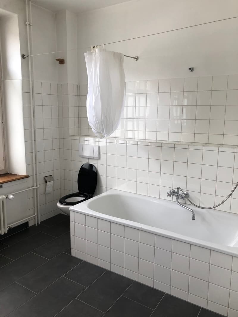 Appartement de 5 pièces au bord de la Suze / 5 -Zimmerwohnung direkt an der Schüss (8)