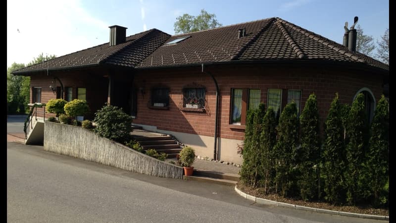 Casa unifamiliare spaziosa e notevole (3)