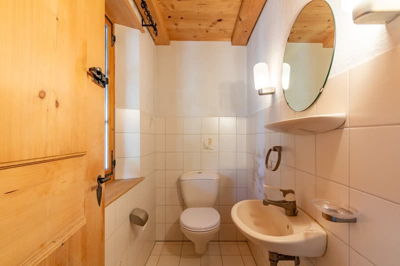 small bathroom with toilet, sink, mirror, and wooden door