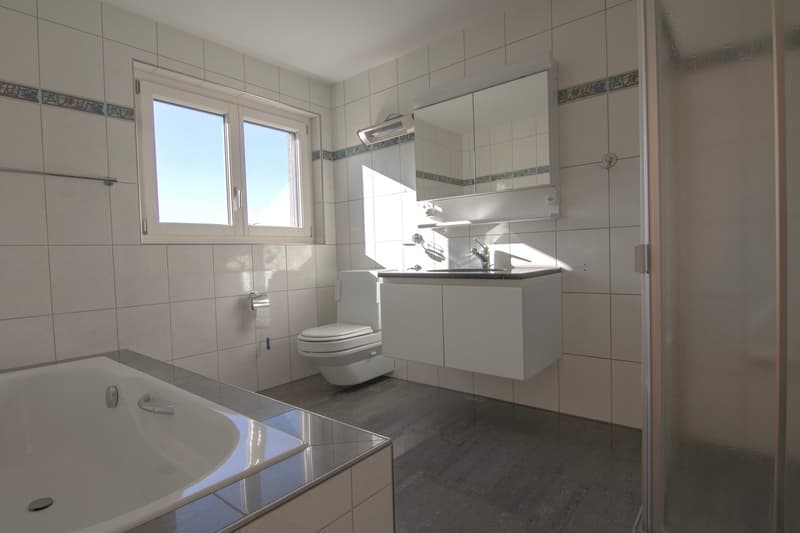 Exklusives 6.5-Zimmer-Einfamilienhaus in Tennwil (10)