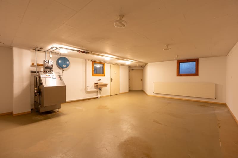 Charmantes 7.5-Zimmer-Einfamilienhaus mit Sauna und Garage in Brittnau (20)