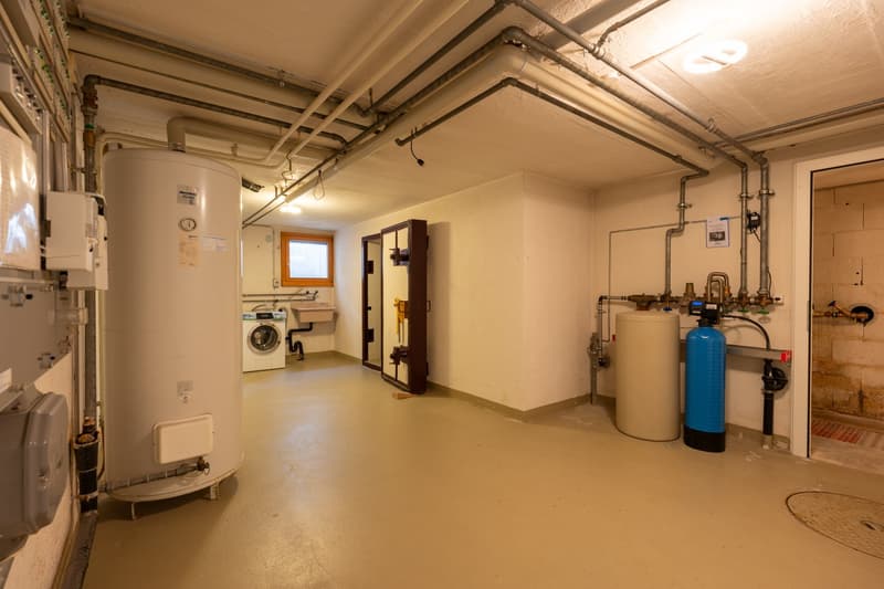 Charmantes 7.5-Zimmer-Einfamilienhaus mit Sauna und Garage in Brittnau (21)