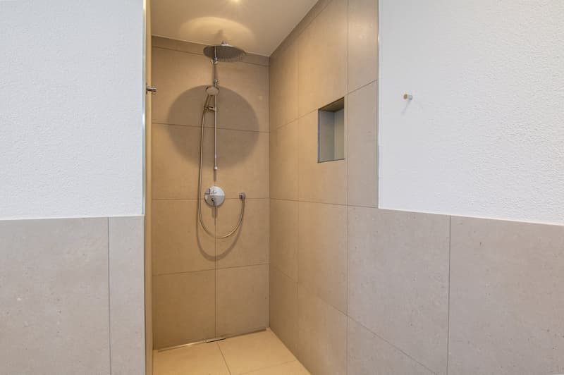Exklusive 4.5-Zimmer-Attikawohnung mit 188 m² Terrasse (10)