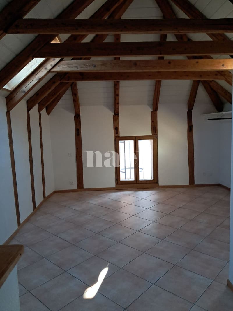 Duplex de 2 pièces avec terrasse sur la Place du Marché (3)