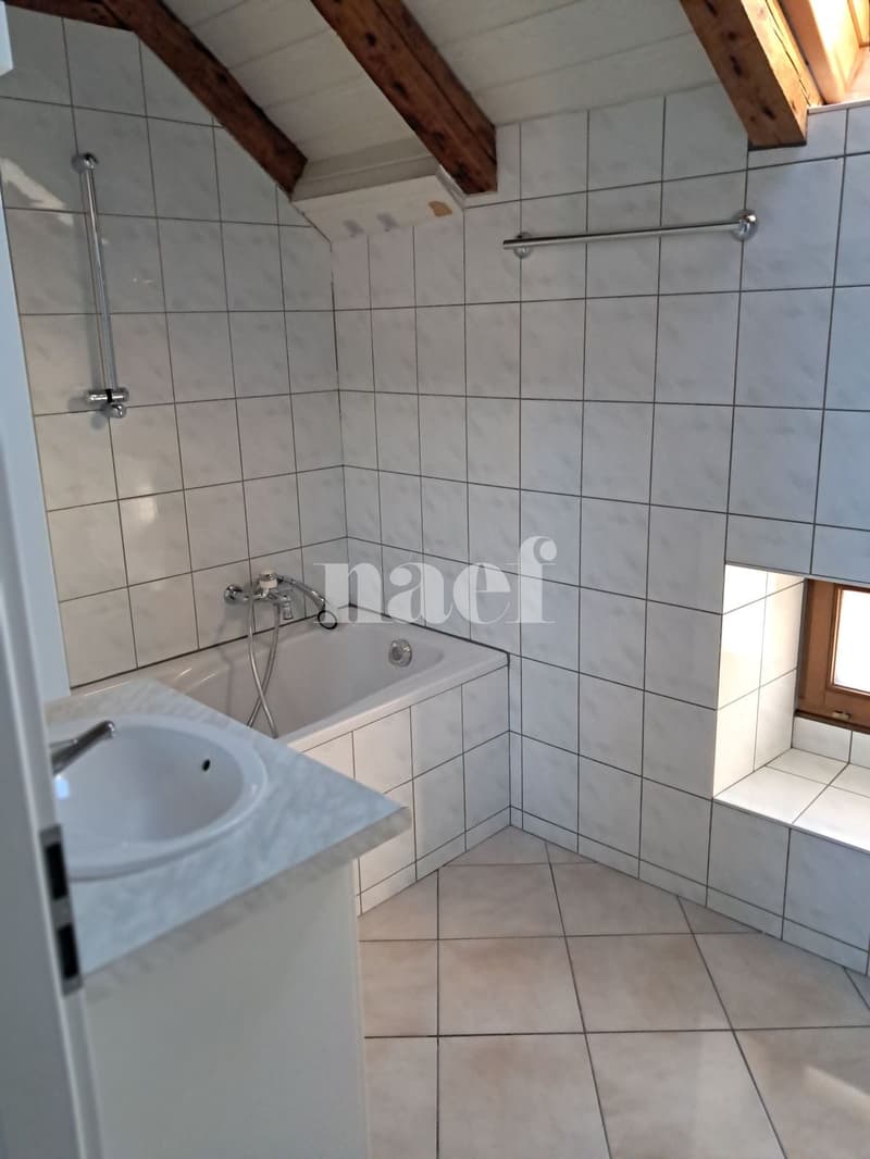 Duplex de 2 pièces avec terrasse sur la Place du Marché (9)