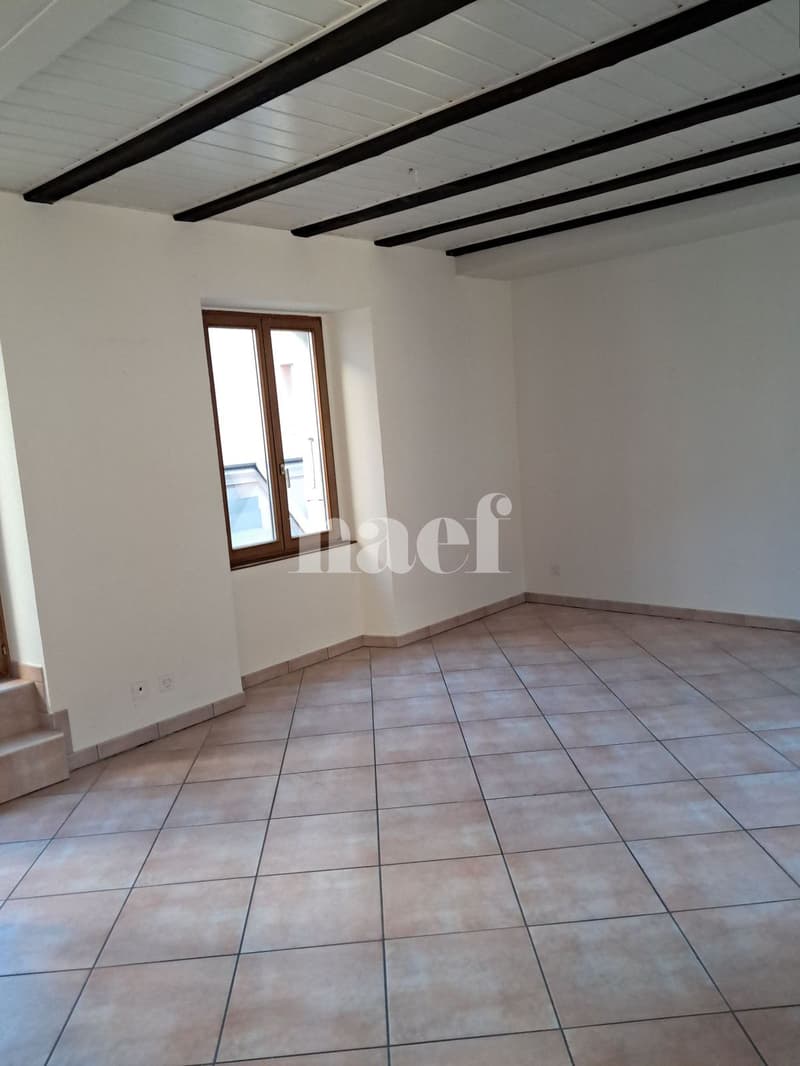 Duplex de 2 pièces avec terrasse sur la Place du Marché (5)