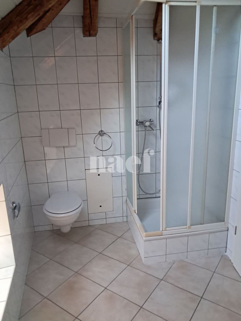 Duplex de 2 pièces avec terrasse sur la Place du Marché (10)