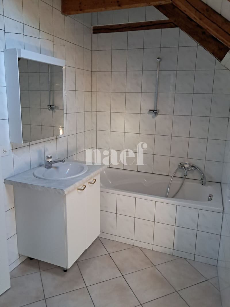 Duplex de 2 pièces avec terrasse sur la Place du Marché (8)