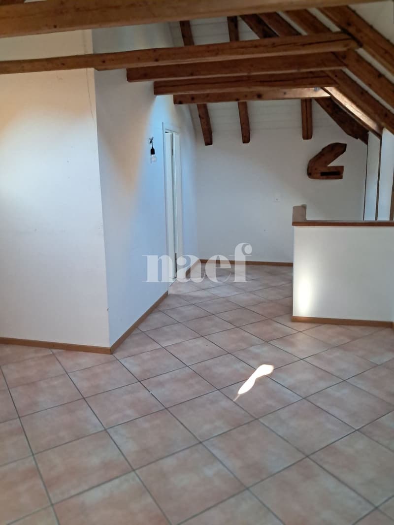 Duplex de 2 pièces avec terrasse sur la Place du Marché (4)