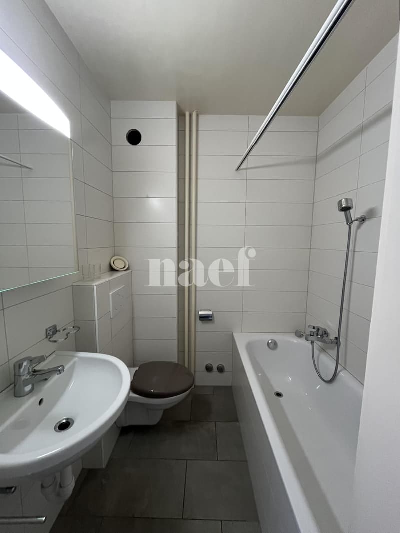 Charmant appartement de 3pièces au 1er étage (8)