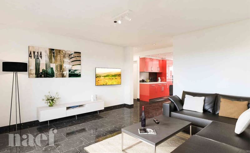 Appartement 4,5 pieces moderne avec balcon (2)