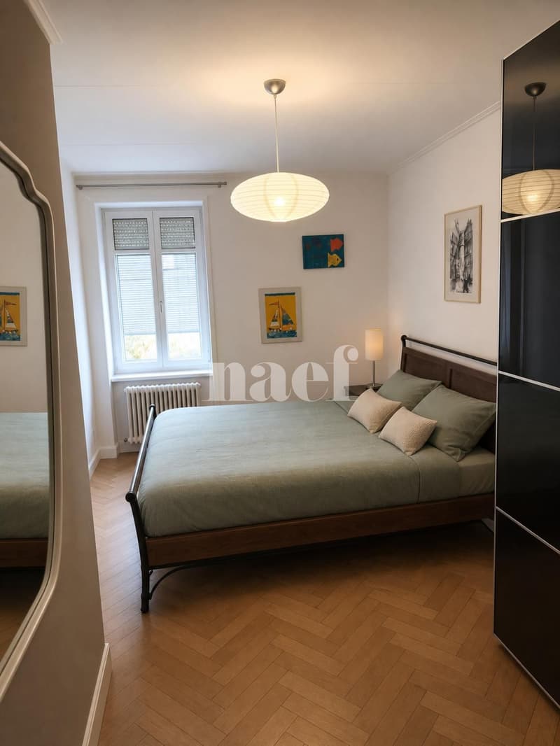Appartement de 3 pièces au centre-ville (4)