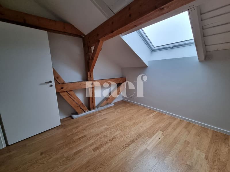 1ER LOYER NET OFFERT !! Exceptionnel, atypique, superbe 4 pièces avec poutres apparentes (7)