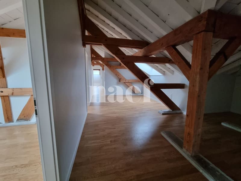 1ER LOYER NET OFFERT !! Exceptionnel, atypique, superbe 4 pièces avec poutres apparentes (6)