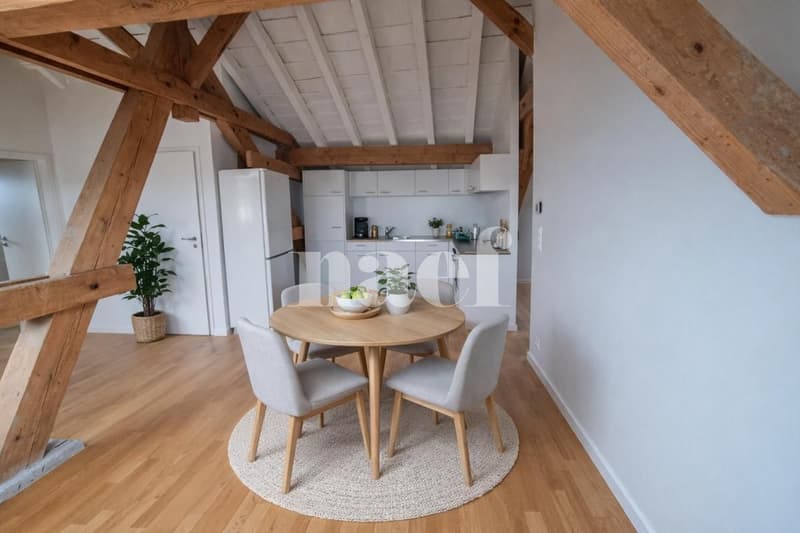 1ER LOYER NET OFFERT !! Exceptionnel, atypique, superbe 4 pièces avec poutres apparentes (3)