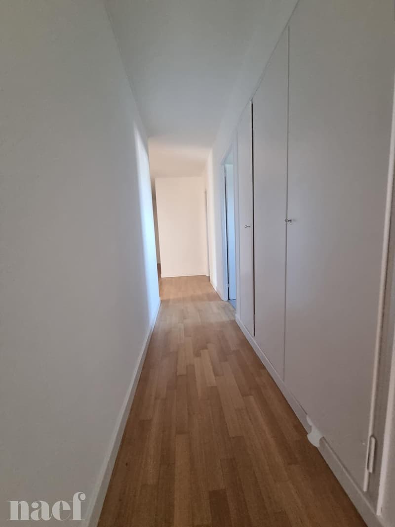 4 pièces rénové récemment proche du centre avec balcon (9)