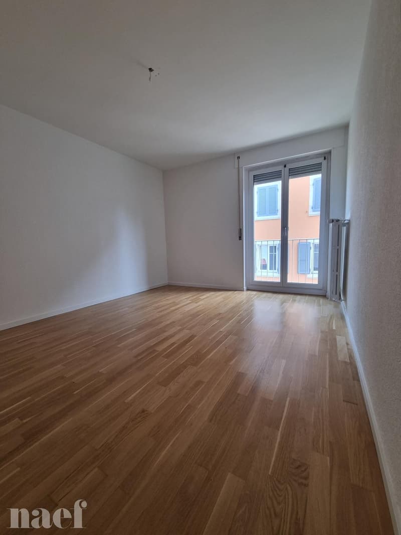 4 pièces rénové récemment proche du centre avec balcon (6)