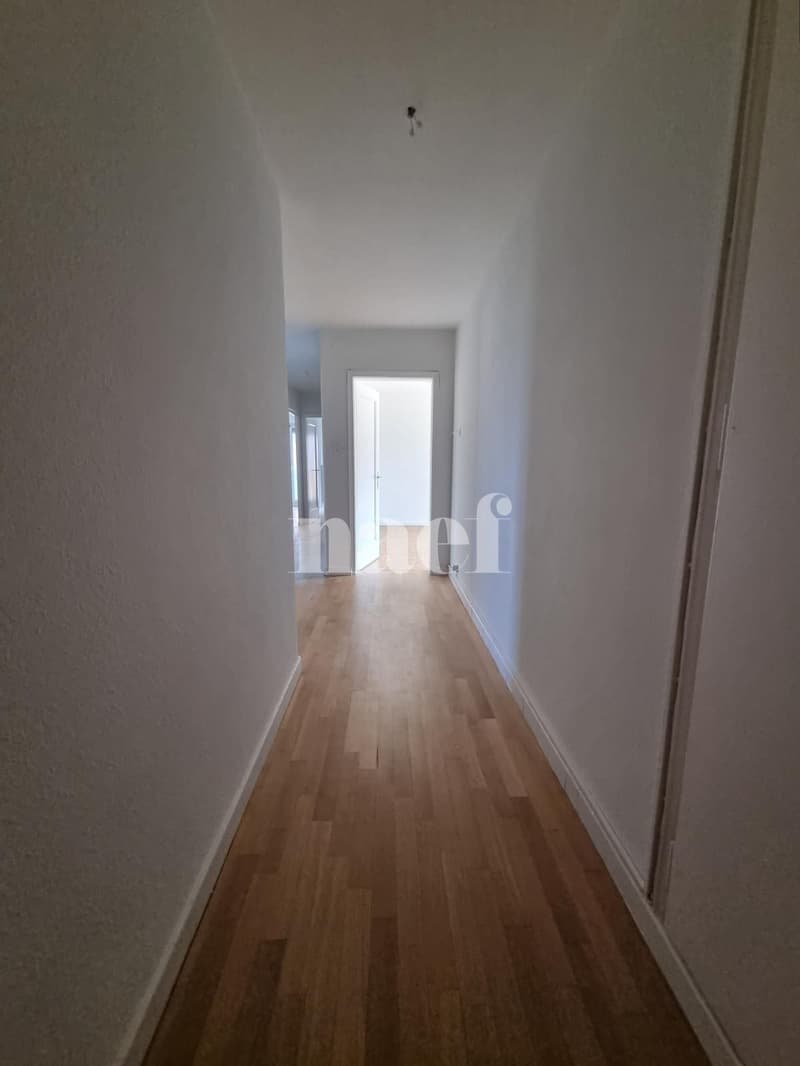 4 pièces rénové récemment proche du centre avec balcon (7)