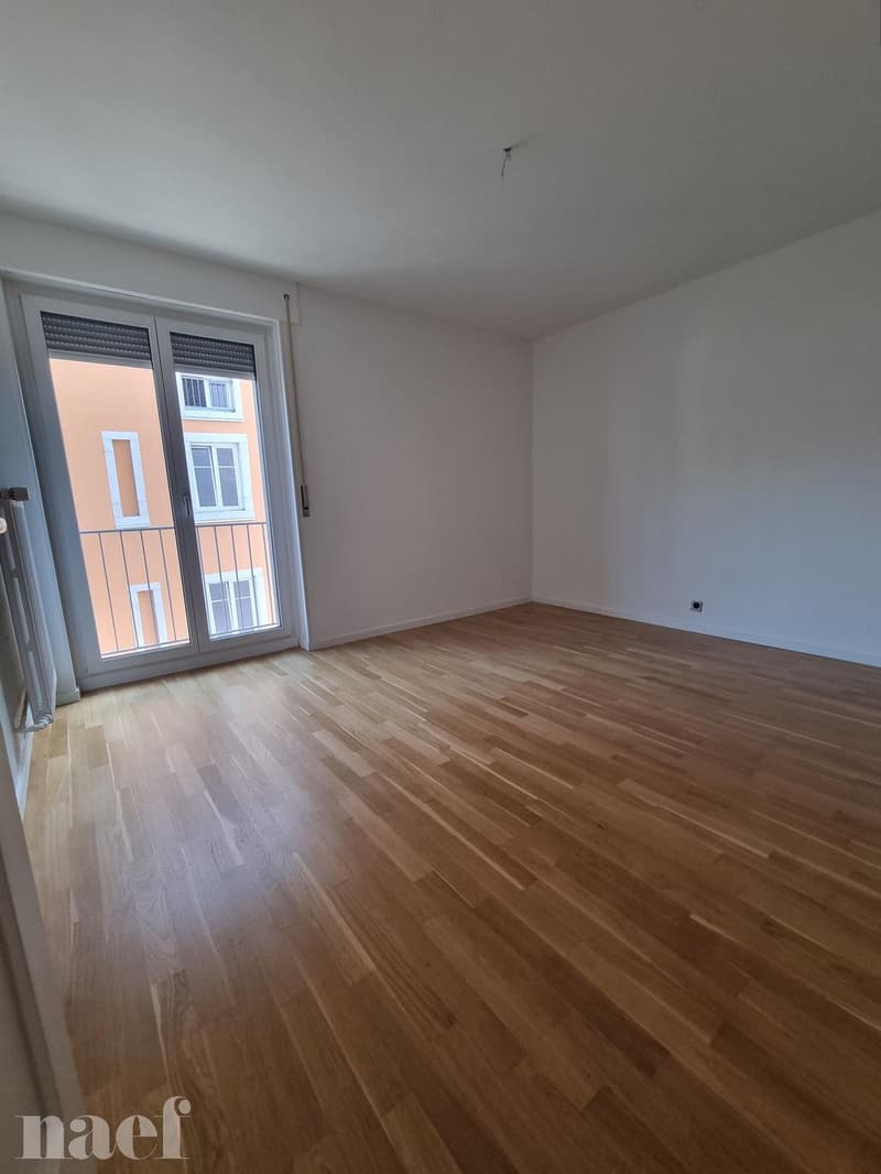 4 pièces rénové récemment proche du centre avec balcon (7)